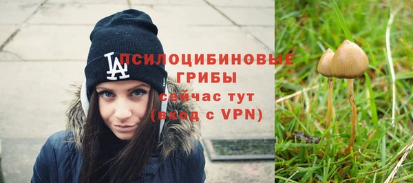 дурь Аркадак
