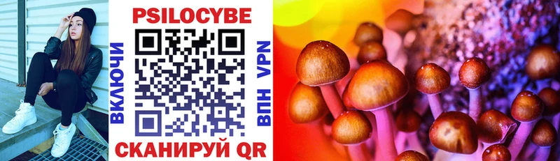 как найти закладки Ельня Псилоцибиновые грибы Cubensis